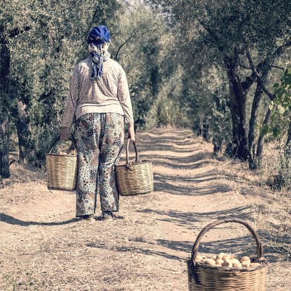 Figarve Alabanda Dry Figs